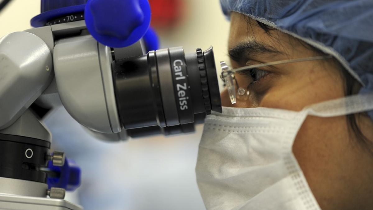 descoperirea care ar putea revolutiona medicina oamenii de stiinta au anuntat ca au anuntat ca au