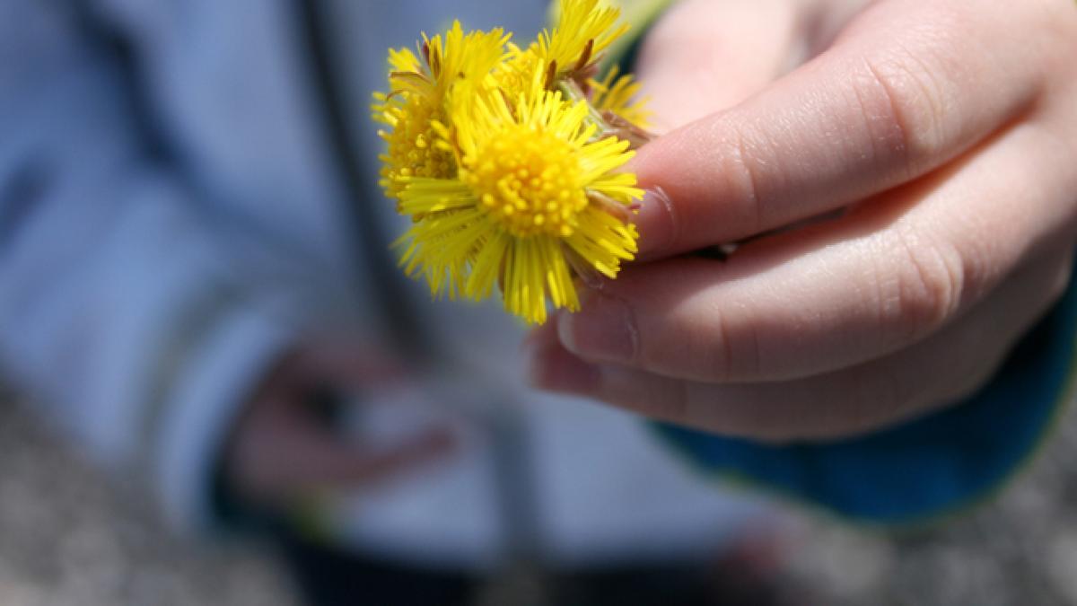 vremea se va incalzi vezi aici prognoza meteo