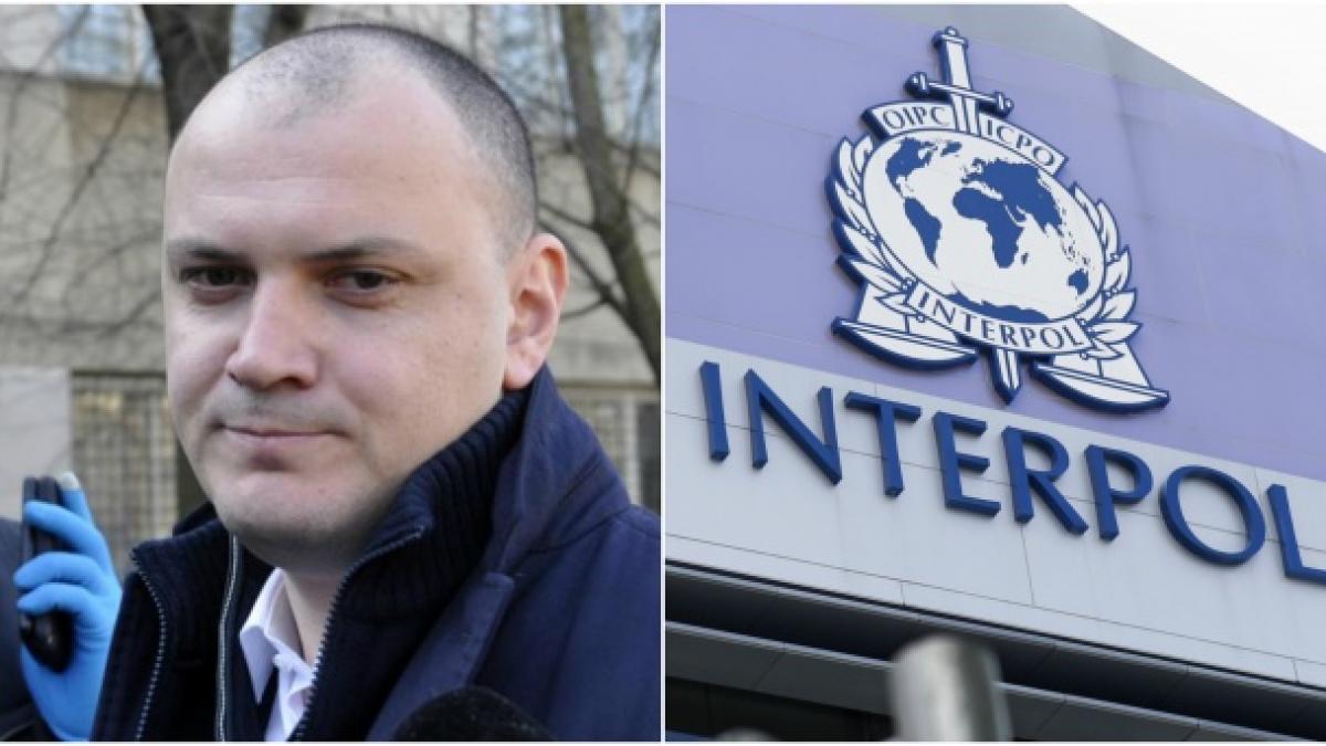 exces de putere sebastian ghita megacontract in serbia chiar cu frontiera