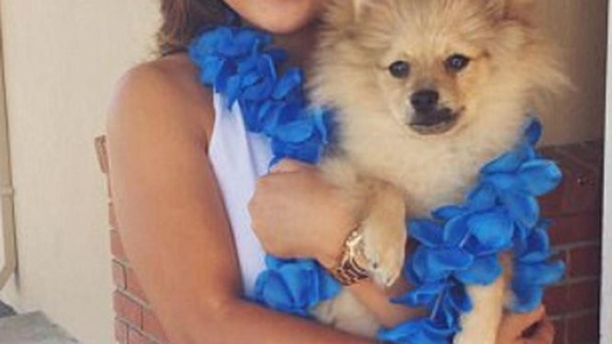 miracol in saptamana mare ce i s a intamplat unei chelnerite care a fost draguta cu clientii