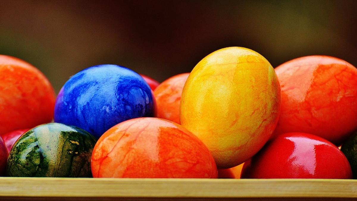 paste sau pasti cum se spune corect paste sau pasti