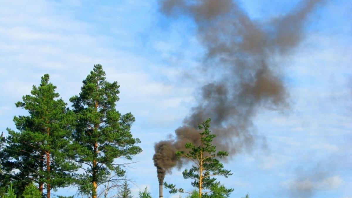 poluare masiva in romania mii de persoane sunt afectate