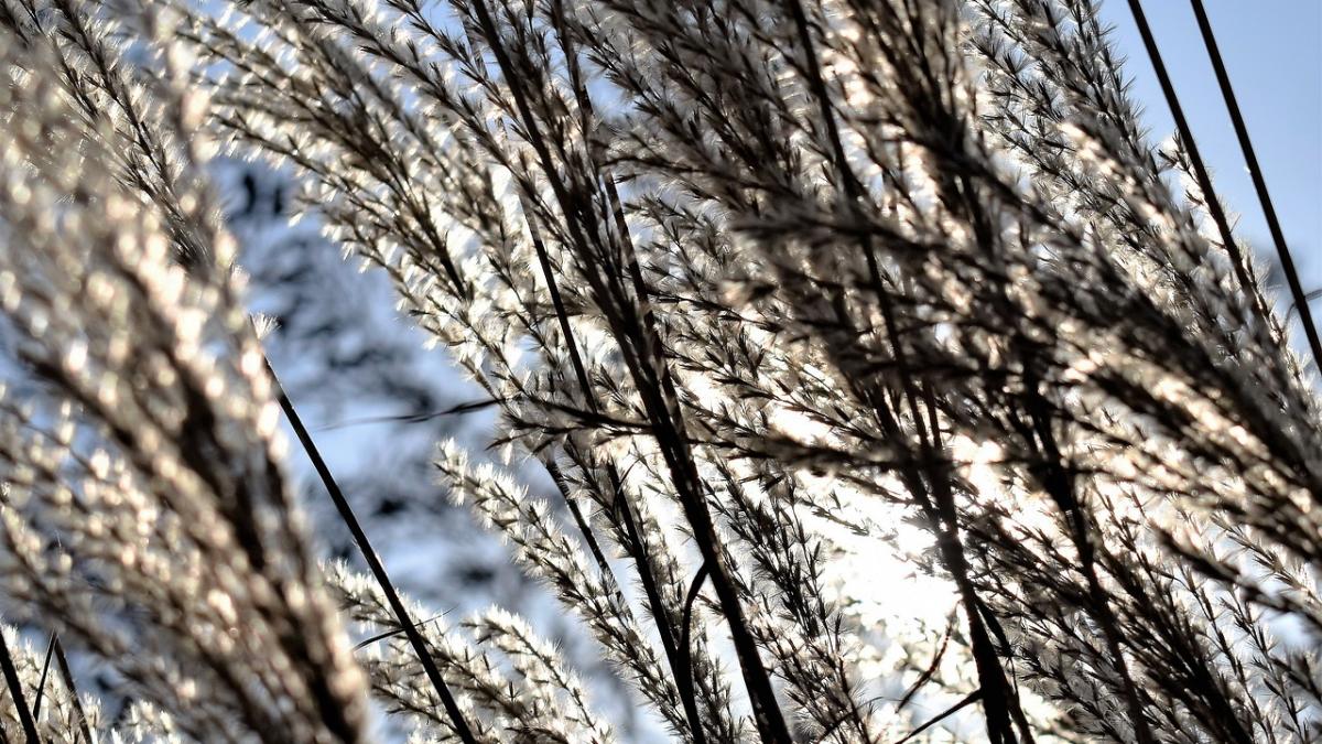 cod galben de vant puternic in cinci judete