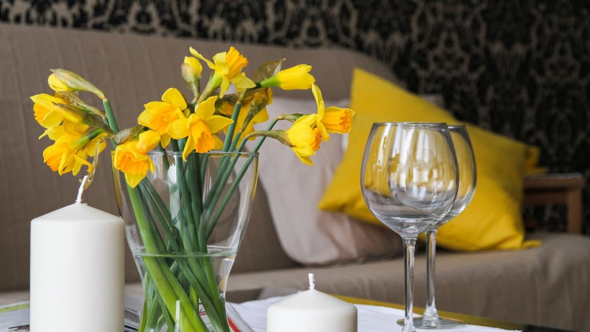 acestea sunt plantele ucigase pe care trebuie sa le eviti neaparat