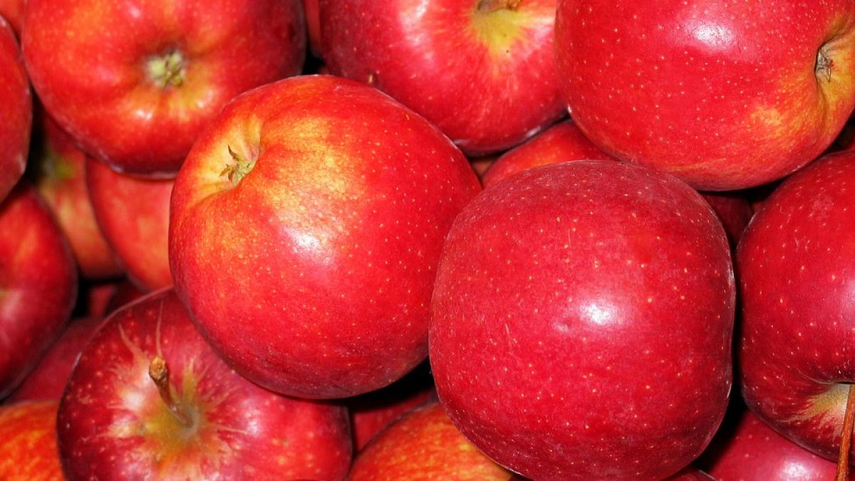 adevarul despre merele din supermarket ce se intampla cu ele inainte sa ajunga la raft