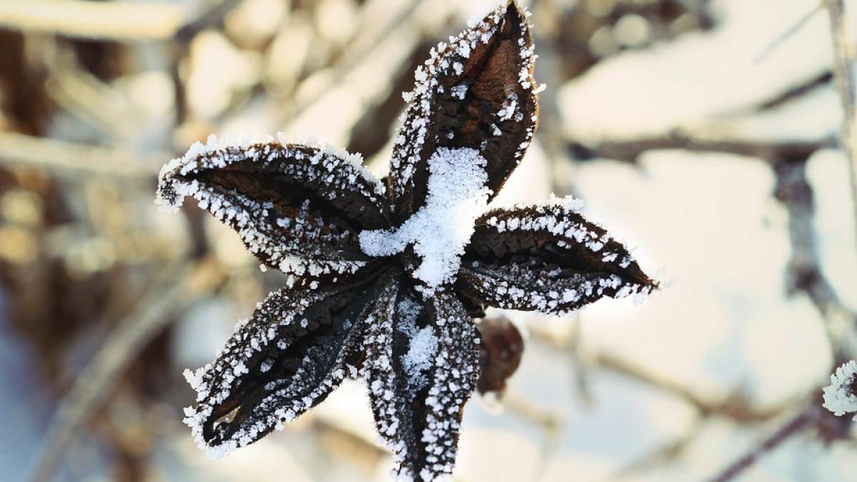 locul din romania in care s au inregistrat minus 26 de grade in luna aprilie