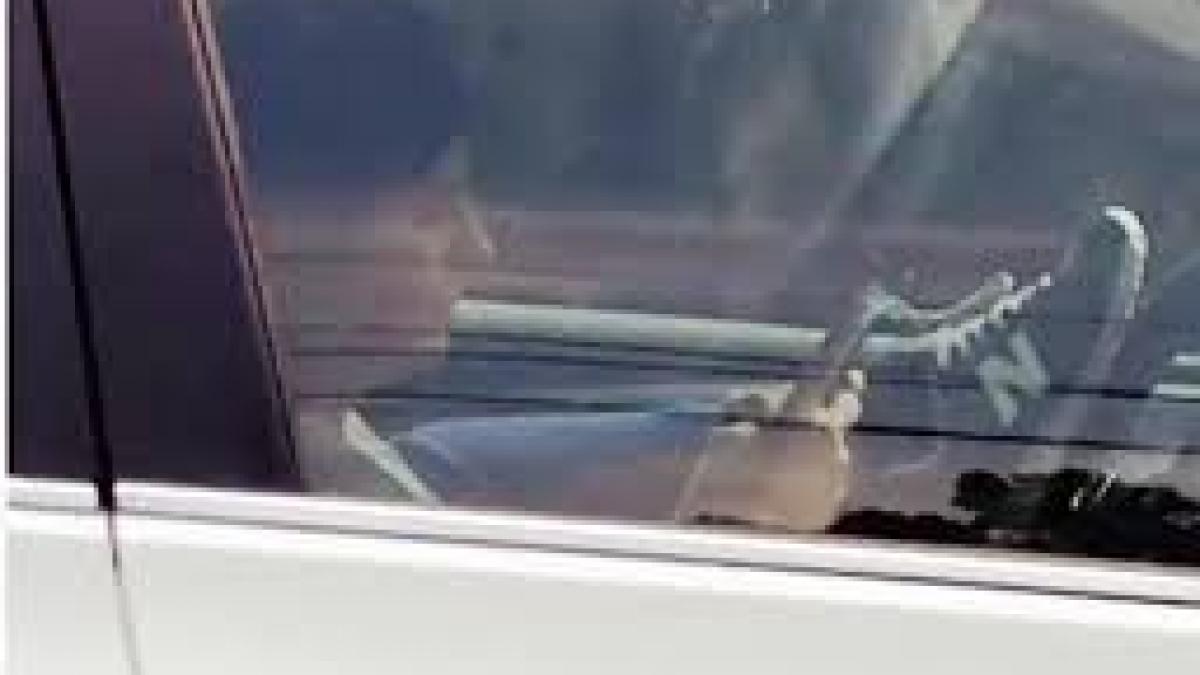 soferita filmata in timp ce conducea cu picioarele video