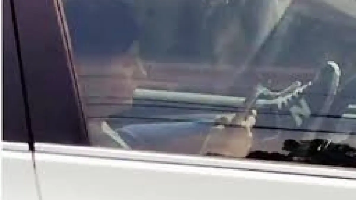 soferita filmata in timp ce conducea cu picioarele video