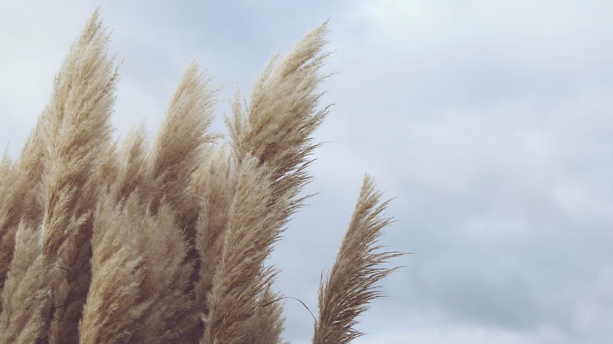 nou avertisment meteo cod galben de vant puternic si ploi in sapte judete in urmatoarele ore