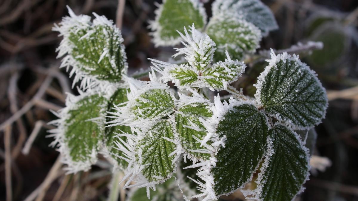 prognoza meteo bruma inghet la sol vreme deosebit de rece in toata tara