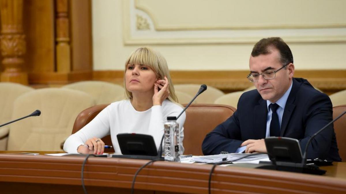 avocatul elenei udrea dezvaluiri din interiorul dna