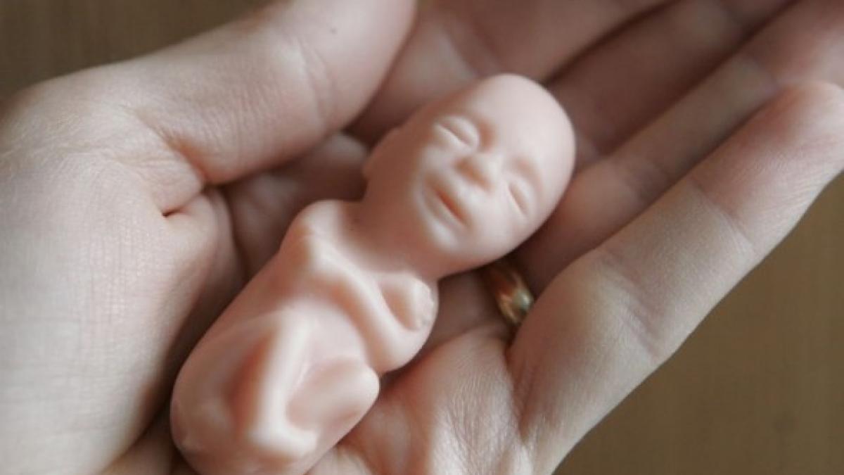 cum a salvat aceasta papusa aproape 200 de suflete