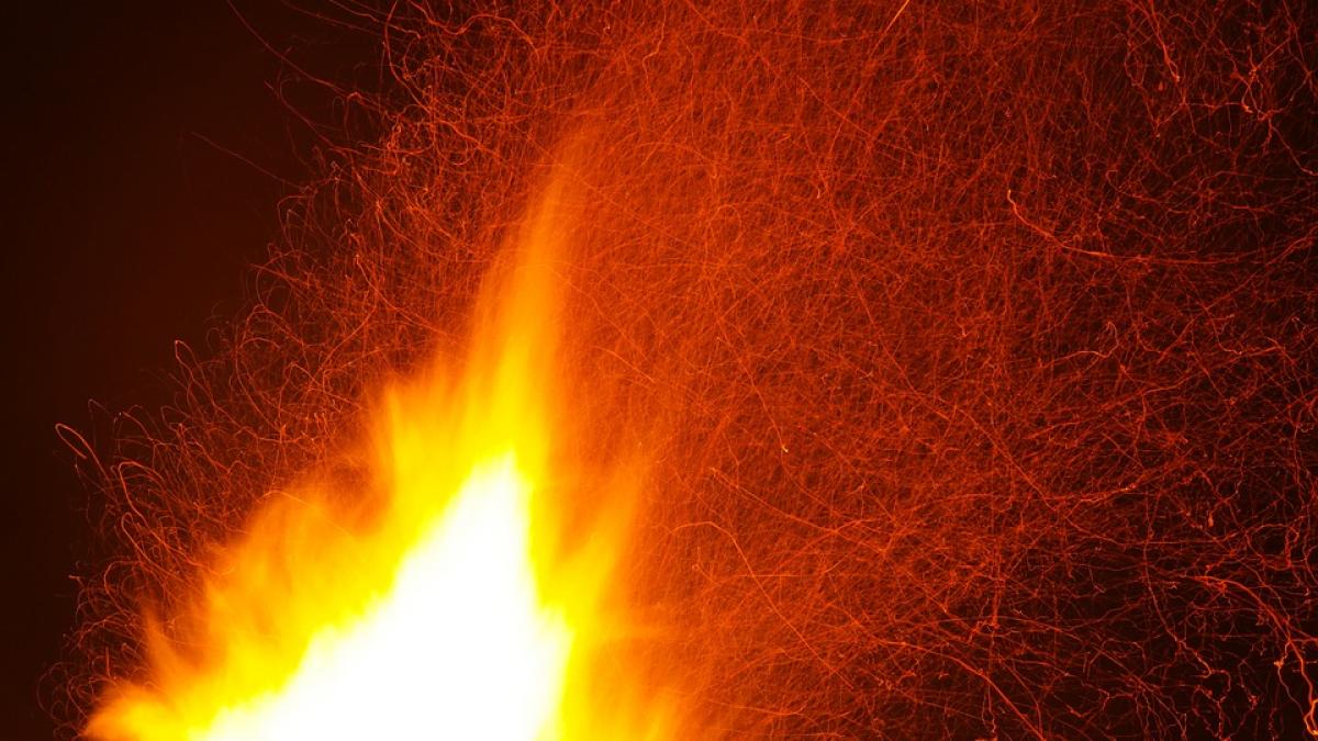 au facut focul langa vita de vie si pomii fructiferi pentru a le feri de inghet