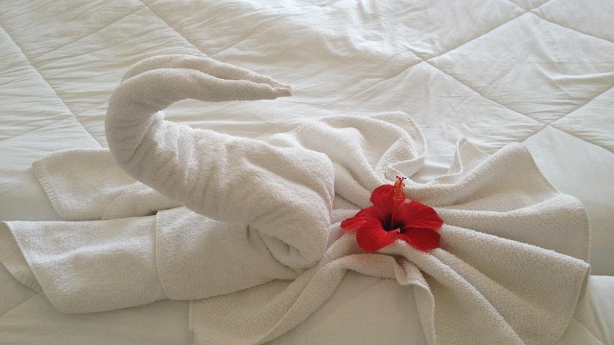 hotelul in care te poti caza complet gratuit ce conditii trebuie sa indeplinesti