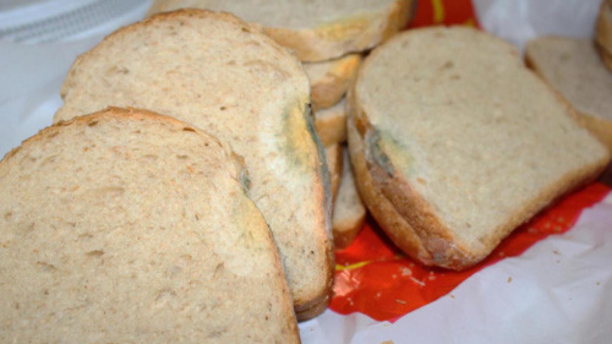 ai mancat din greseala paine cu mucegai uite ce poti sa patesti