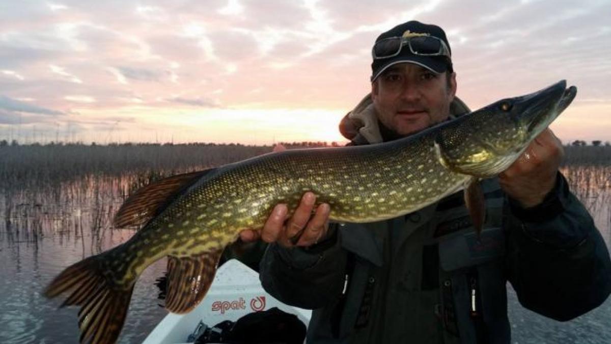 cine este malin matei musatescu noul guvernator al deltei dunarii
