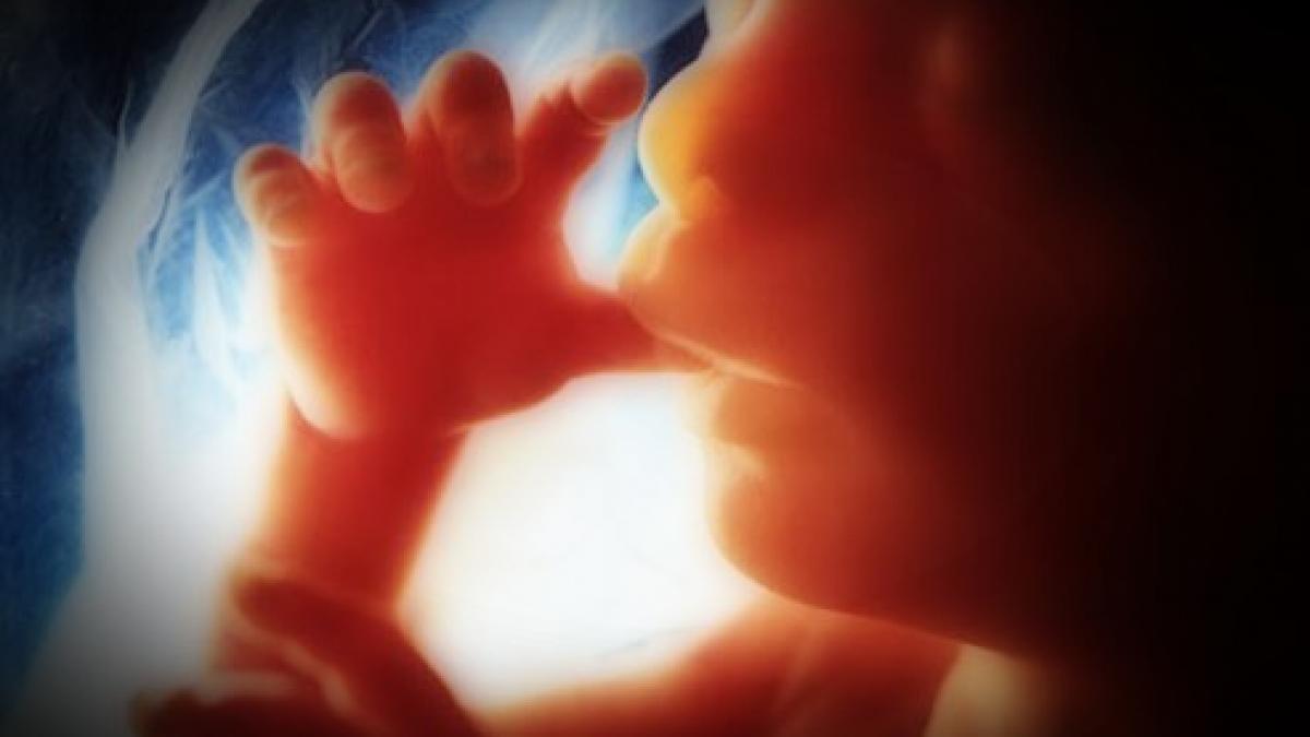 cutremurator un parinte de la muntele athos despre ce se intampla cu sufletele pruncilor avortati