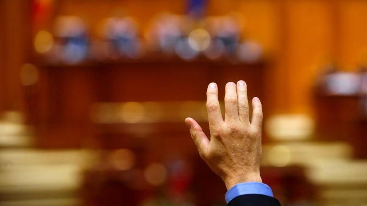 gratierea pedepselor pana la trei ani votata in comisie