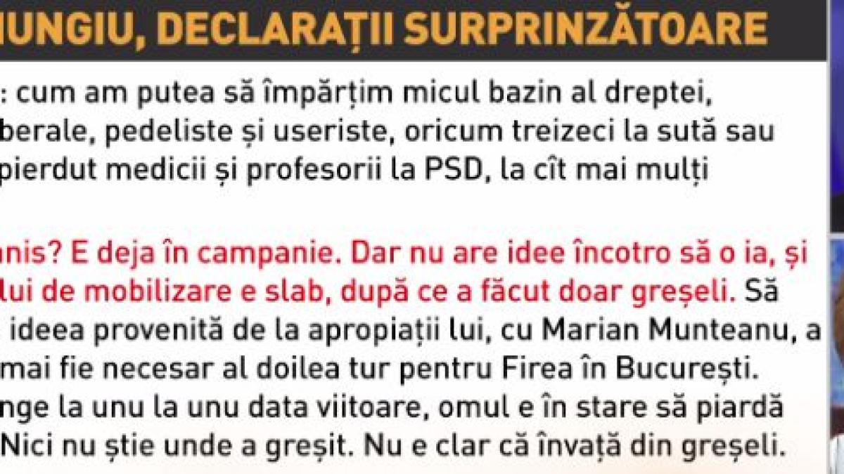 alina mungiu critica dur pe klaus iohannis si strategia anti psd
