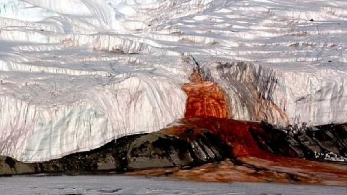 misterul vechi de 100 de ani al cascadei de sange din antarctica a fost dezlegat