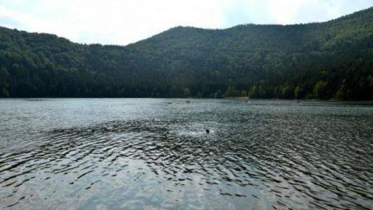 politia si scafandrii cauta trupul unui paznic care a disparut in zona lacului sarulesti