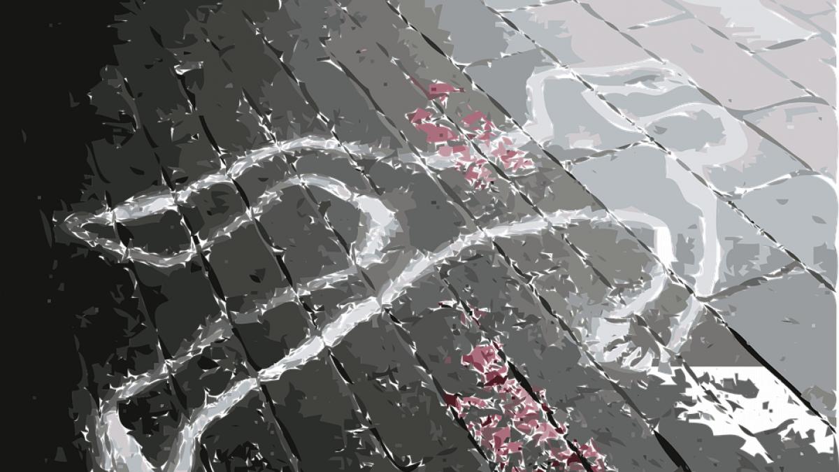 povestea fostului prefect care a tocmit un asasin s o ucida pe femeia care l a turnat la dna cum s