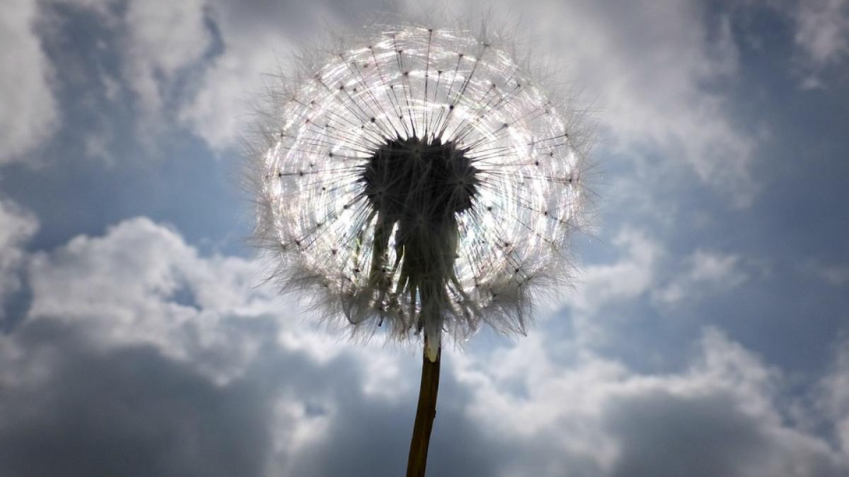 vreme frumoasa de 1 mai