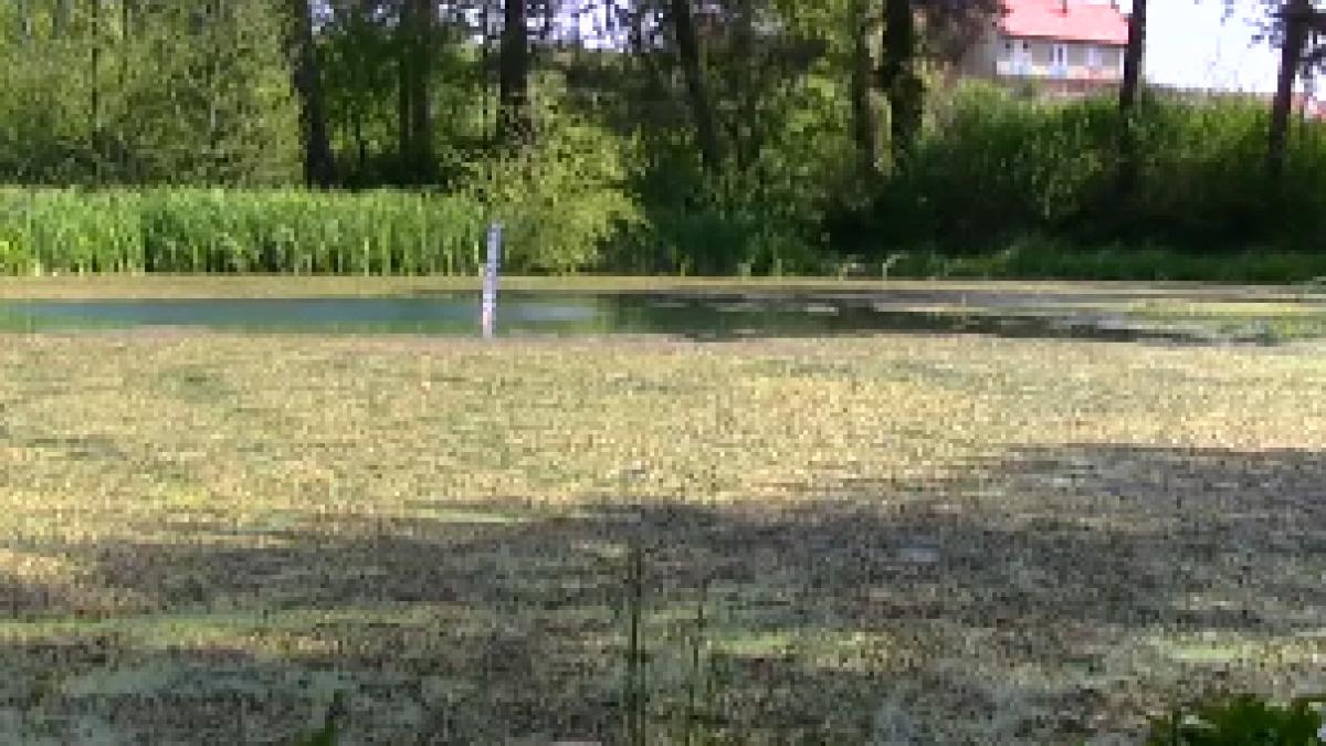 baile 1 mai trecut glorios viitor incert