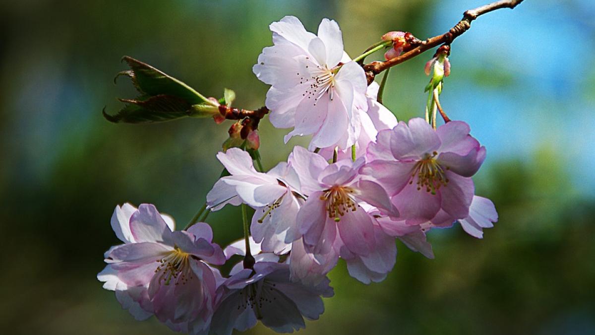 prognoza meteo cum va fi vremea marti si miercuri
