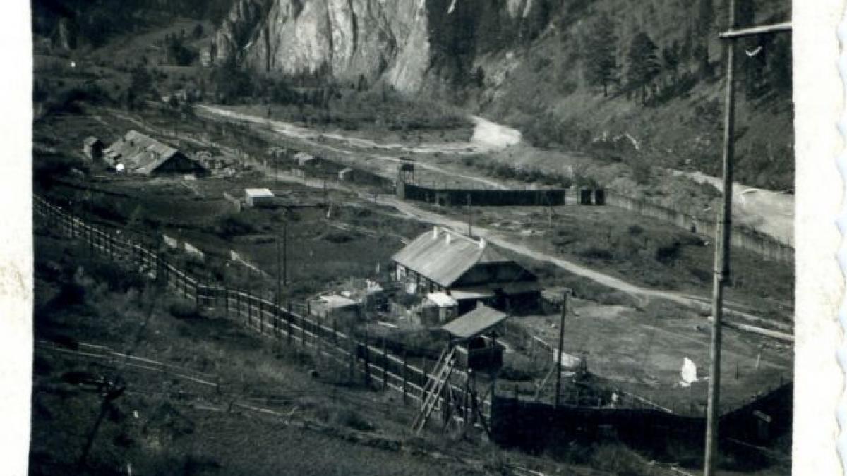 drama basarabenilor deportati in siberia si loialitatea unui caine bob si a asteptat stapanii noua