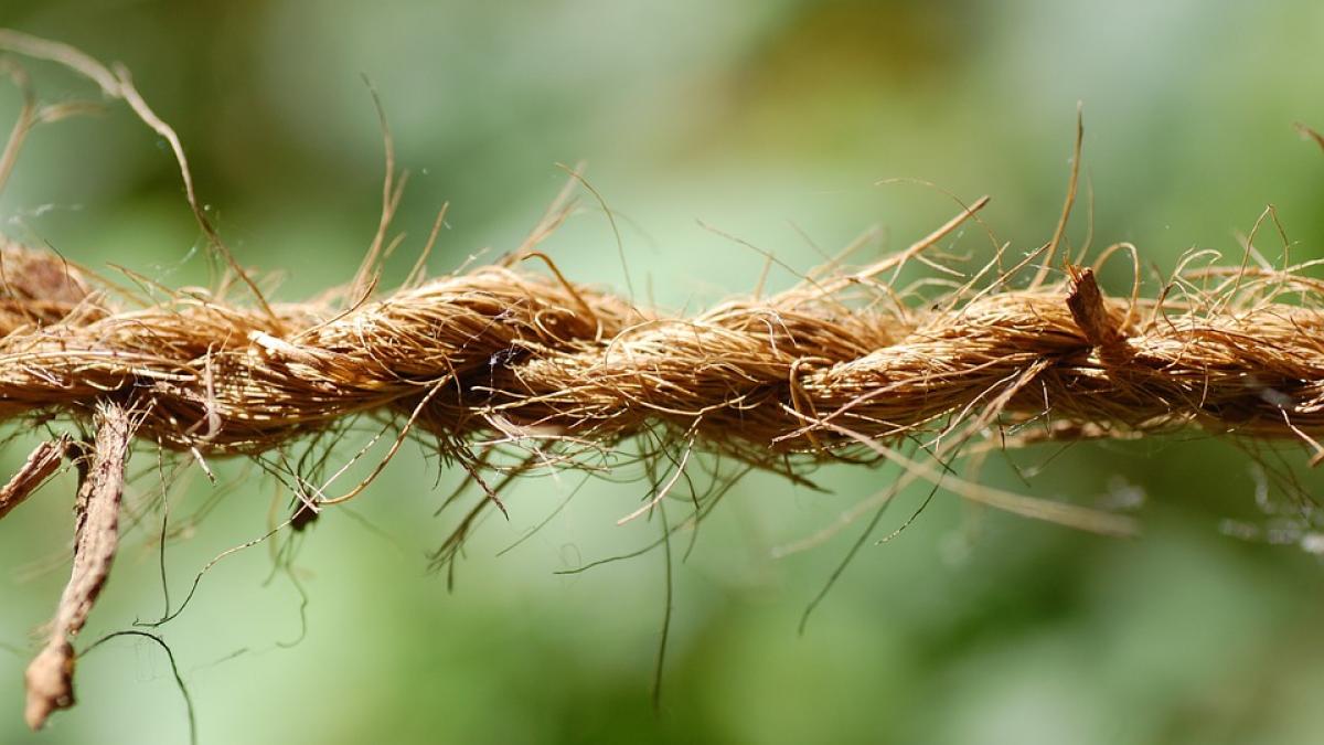 fata de 14 ani gasita spanzurata intr o padure copila era disparuta de acasa de doua zile