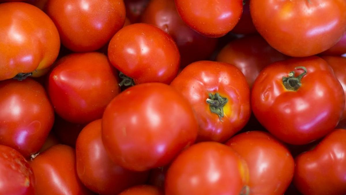 au aparut primele rosii romanesti din 2017 de unde le poti cumpara