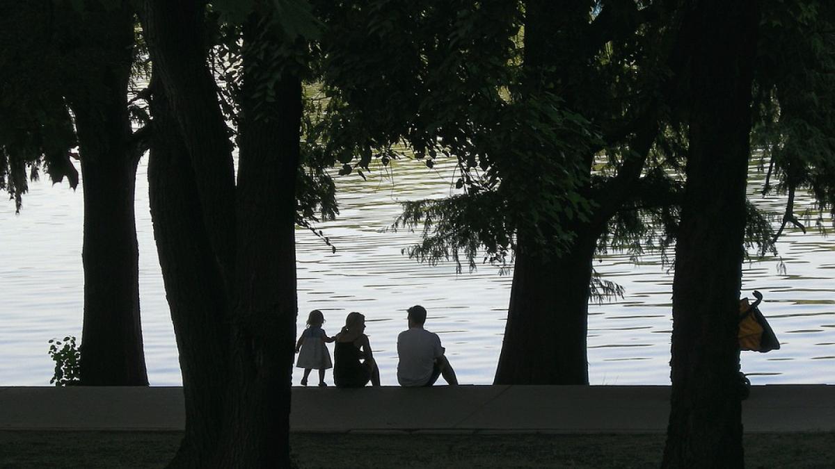 vanatoare de capuse si tantari in capitala