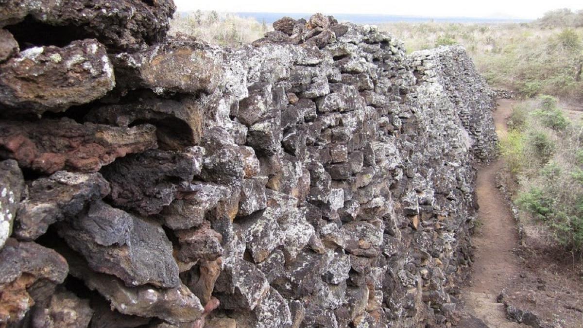 istoria intunecata a insulelor galapagos cum a aparut zidul lacrimilor