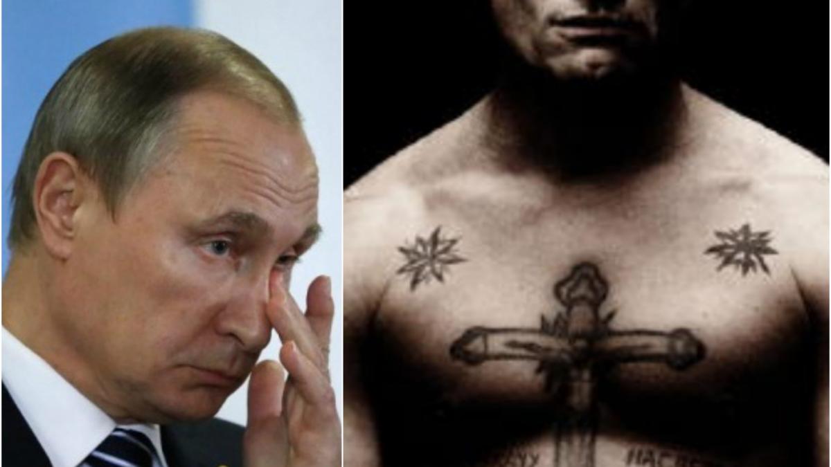 mafia rosie gangsterii cu doctorat care fac jocurile kremlinului