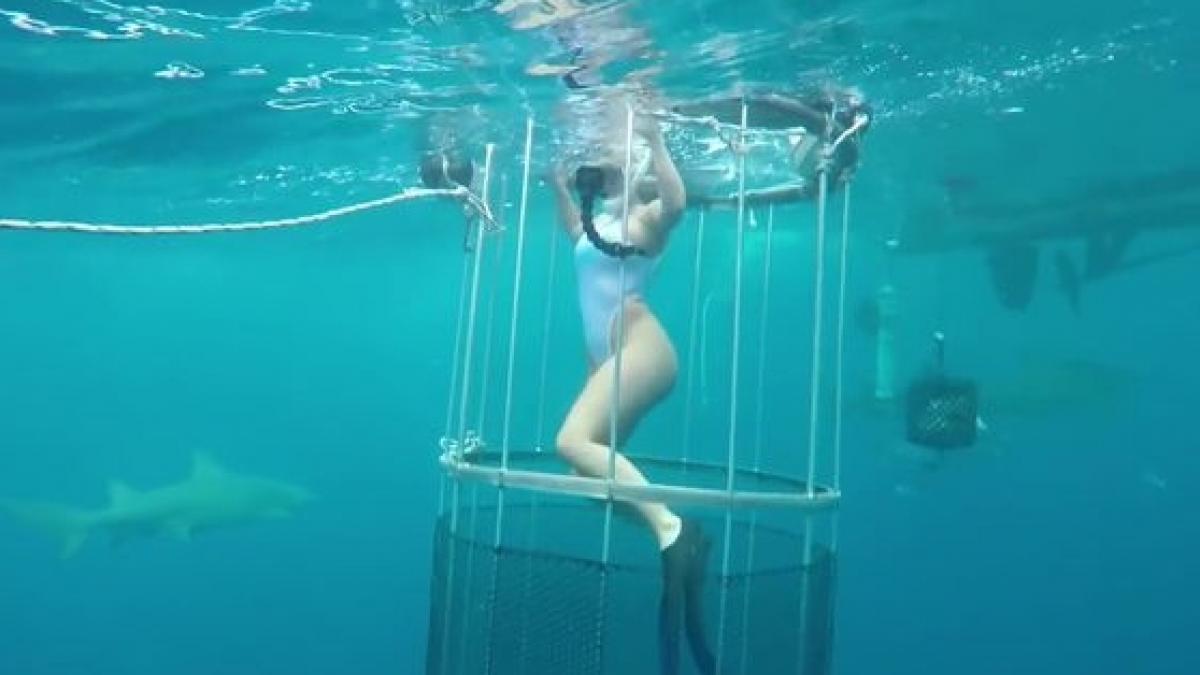 poza in mijlocul rechinilor cand a lovit nenorocirea imagini de infarct cu momentul atacului