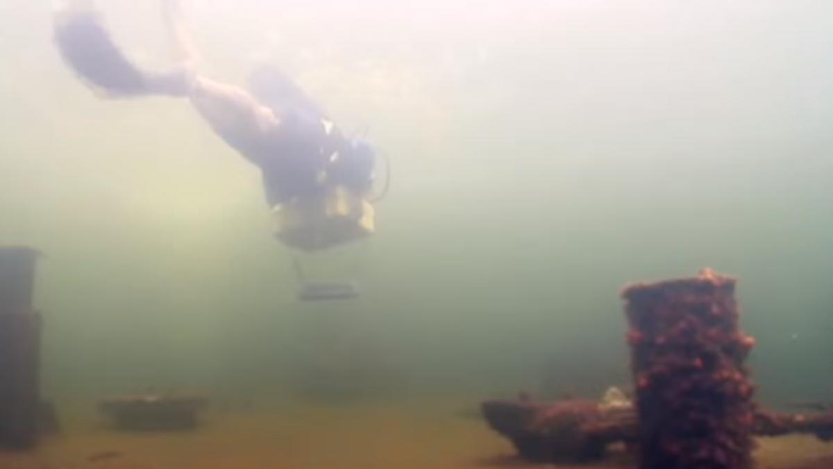 un barbat din statele unite are una dintre cele mai ciudate meserii video