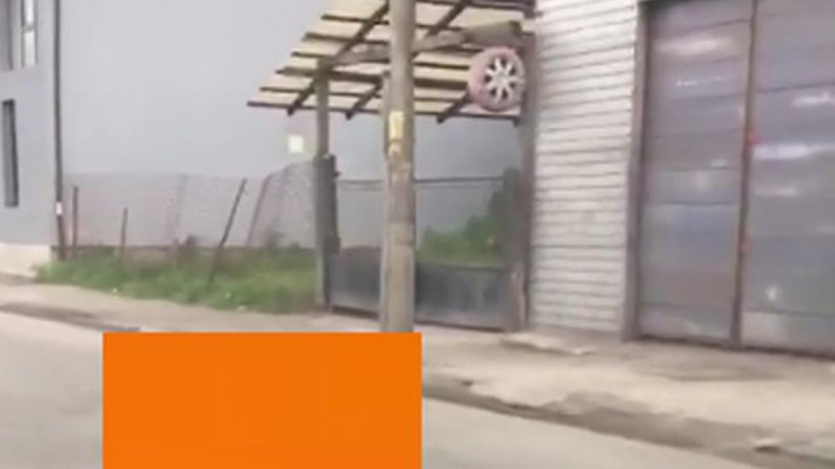 ce a aparut pe o strada intens circulata din dej trecatorii s au oprit si au facut poze