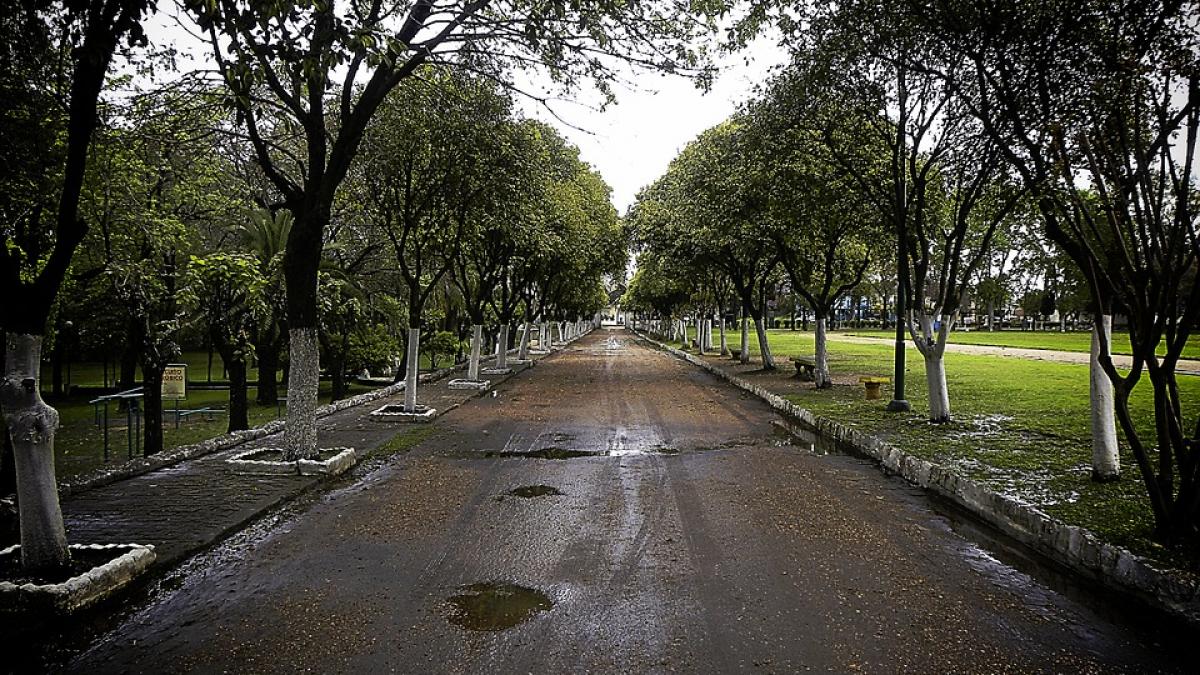 vesti proaste de la meteorologi pentru urmatoarele doua saptamani prognoza meteo pe regiuni