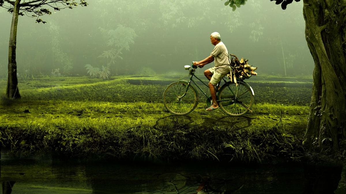 biciclist obligat la munca in folosul comunitatii dupa ce a fost prins de radar
