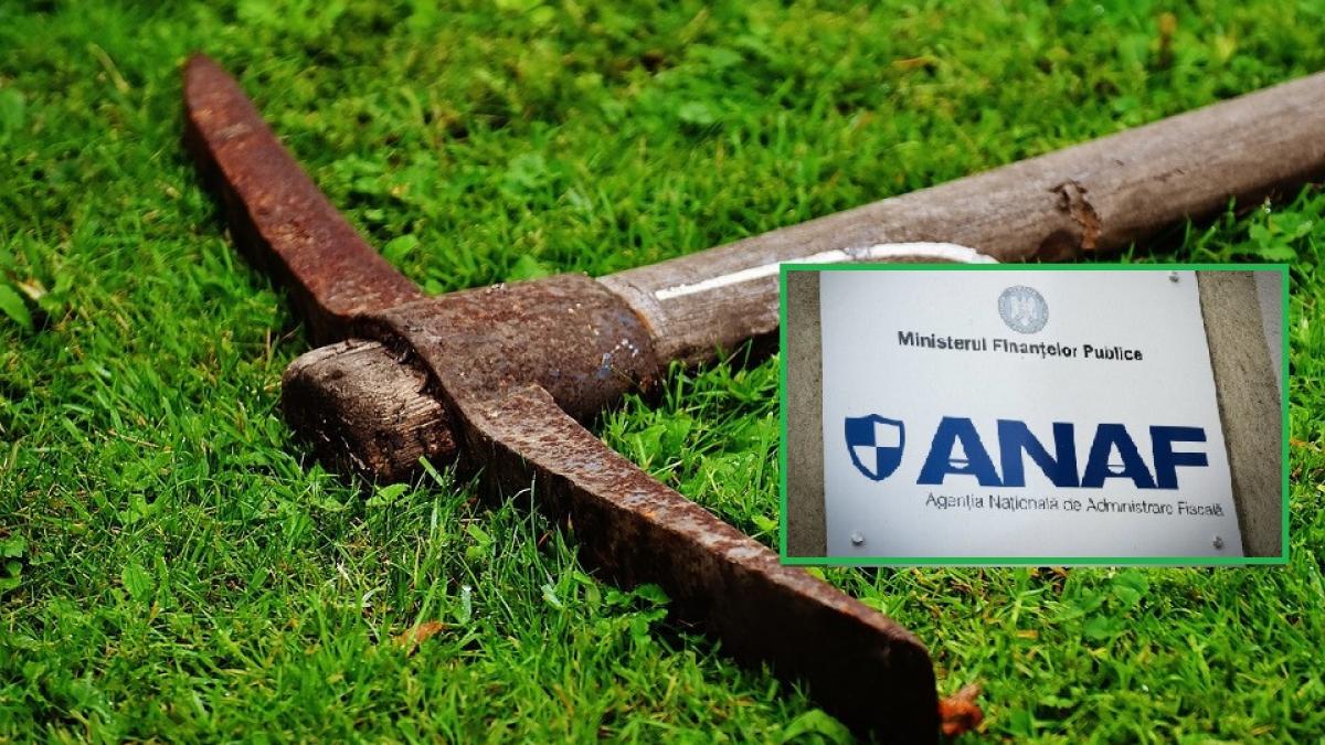 Ce Se IntamplÄƒ DacÄƒ Declari La Anaf CÄƒ Ai Gasit Bani IngropaÈ›i In GrÄƒdinÄƒ