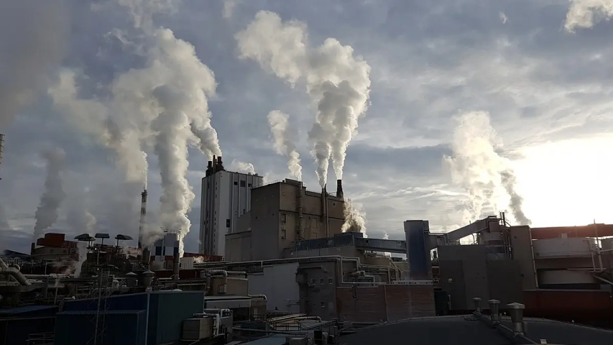 poluarea asociata cu cresterea riscului de cancer