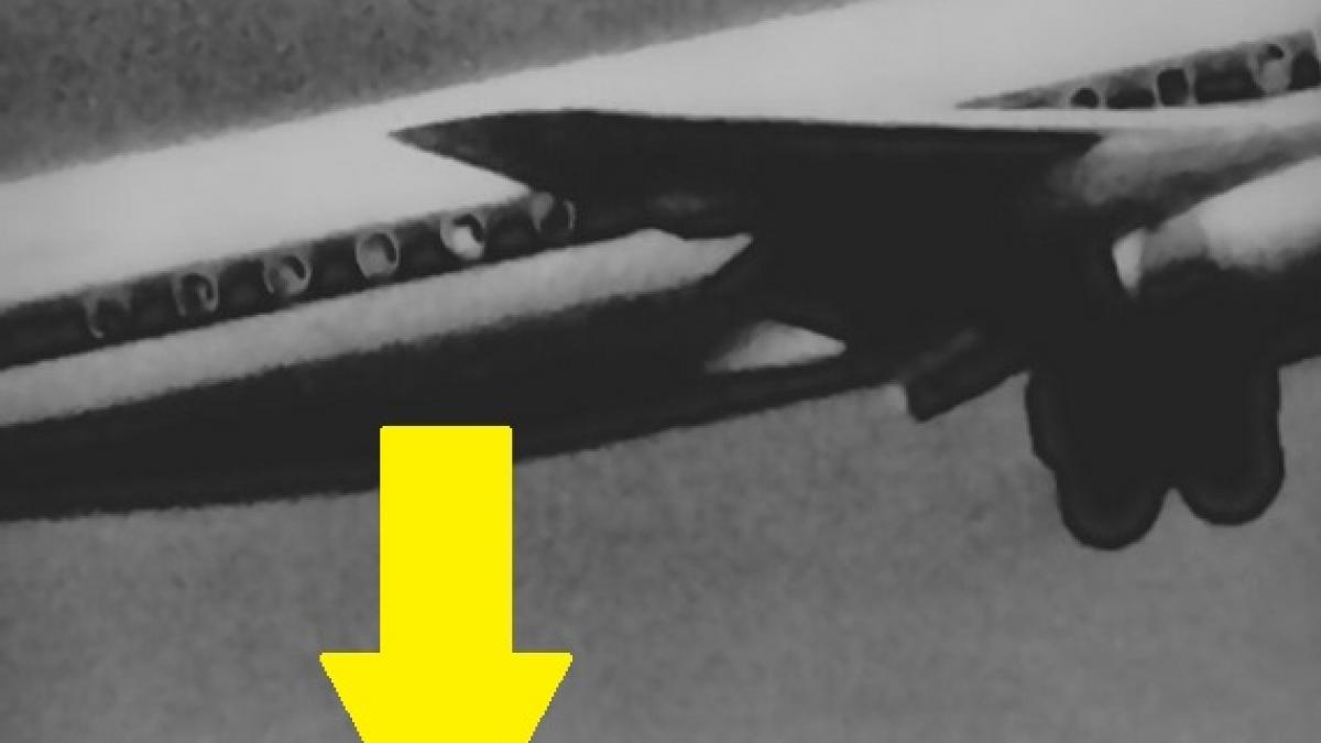 e una dintre cele mai socante imagini din istorie povestea baiatului de 14 ani care cazut din avion