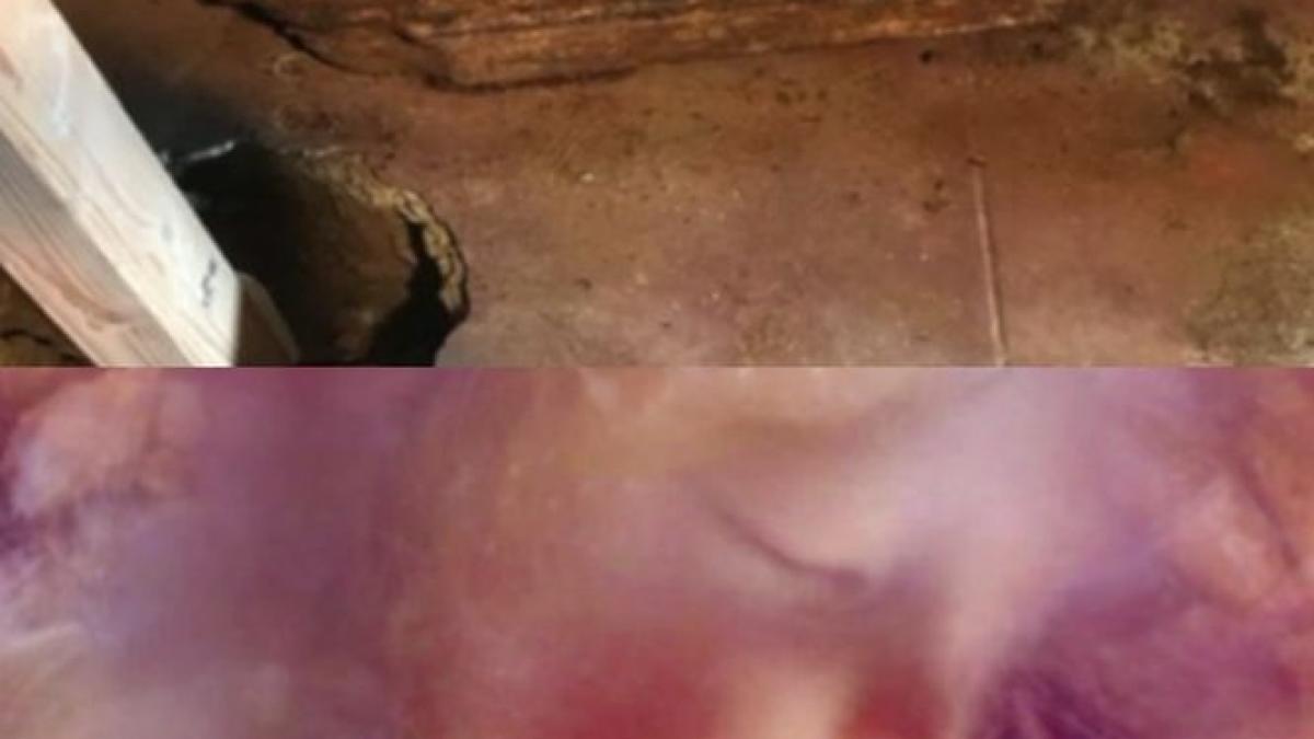 sapau la o casa cand au dat peste un sicriu cand l au deschis au incremenit este incredibil