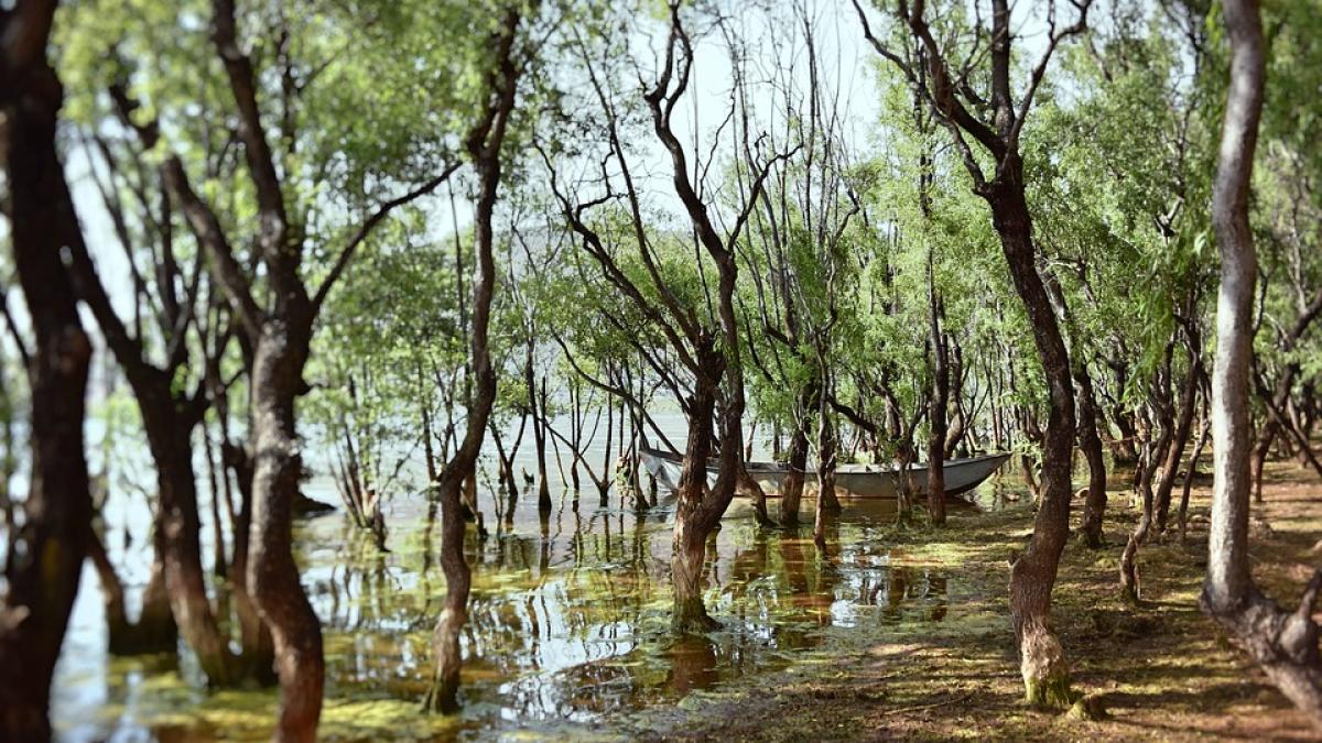 se intorcea cu nepoatele ei de la rau cand si a dat seama ca una dintre ele lipseste e ireal ce s a