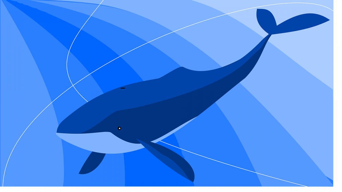 tanarul care a inventat jocul balena albastra a dezvaluit totul motivul pentru care a creat jocul