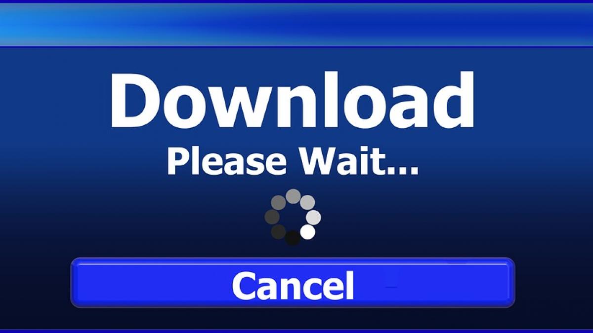 ce a patit un barbat care a descarcat filme pentru adulti de pe torrente