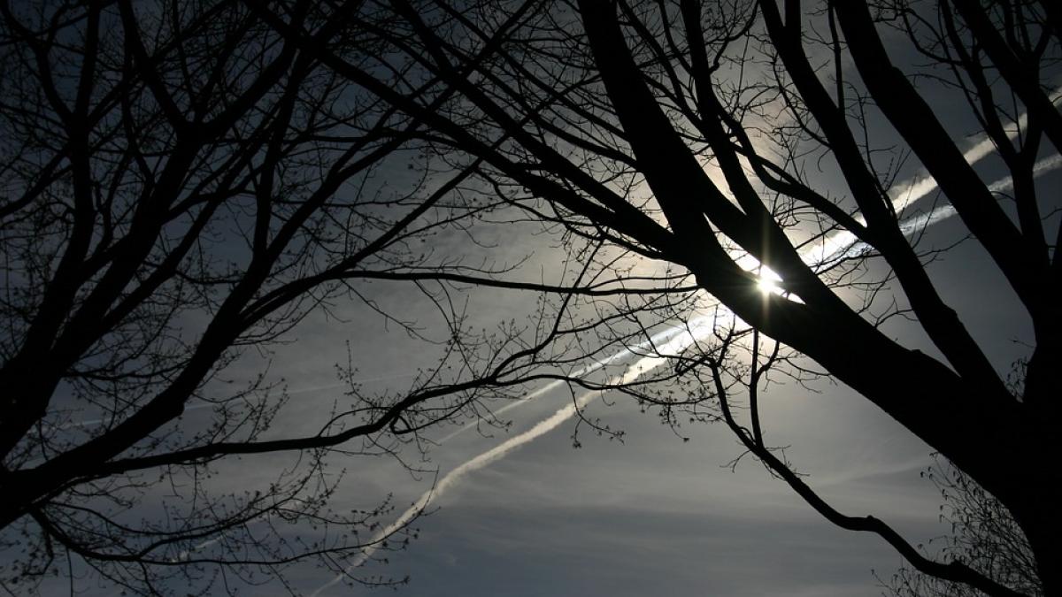 cea mai scazuta temperatura a primaverii la miercurea ciuc s au inregistrat minus 5 grade