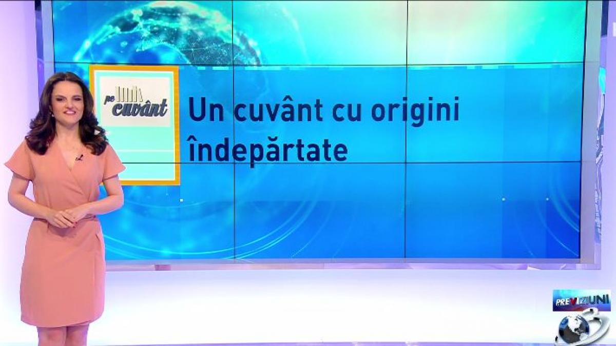 pe cuvant cu ana iorga etimologia interesanta a cuvantului canapea