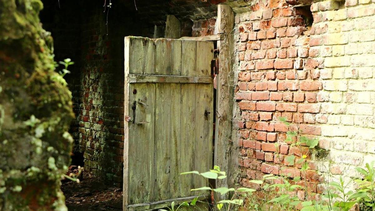 sotul a coborat in beciul casei vazand ca nu se intoarce sotia a mers dupa el ce se intampla de